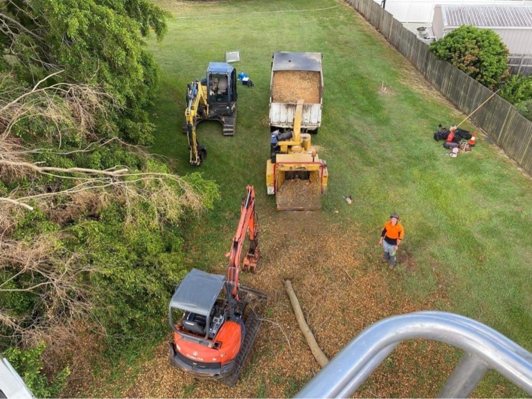 Tree Removal professional arborist and tree lopping services Sunshine Coast. All tree lopping & Stump grinding & Stump Removal services.