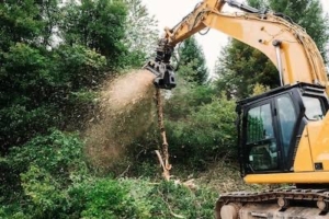 Lantana clearing, weed management, fire hazard prevention, block clearing