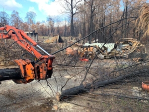 NSW bushfire recovery assistance for insurance supporting South Coast New South Wales