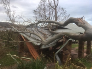 Removal of tree from house after cyclone Debbie at Whitsundays.