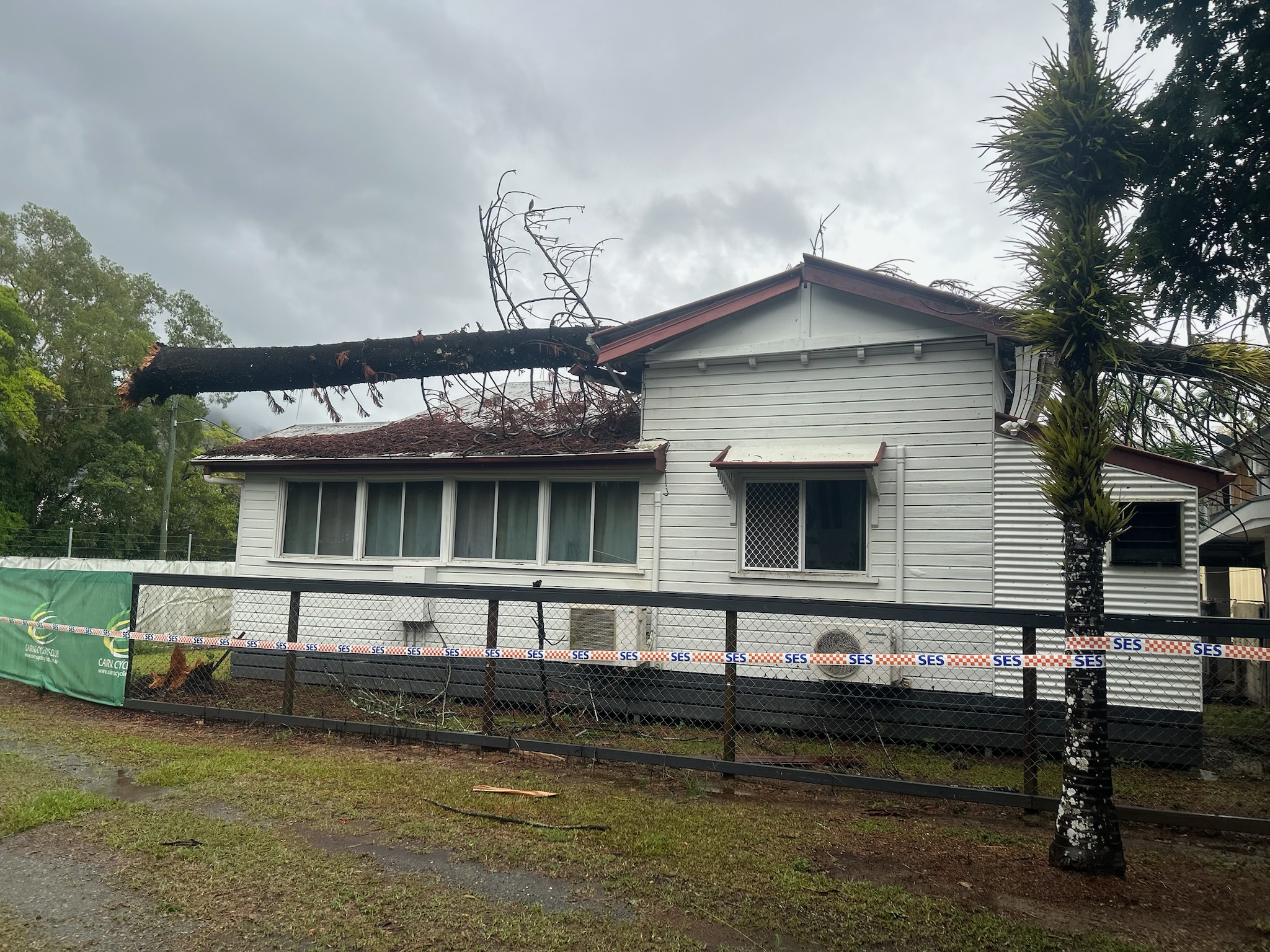 Norfolk pine balancing on roof of Cairns Cycle Club. Another emergency tree service call out for an insurance make safe