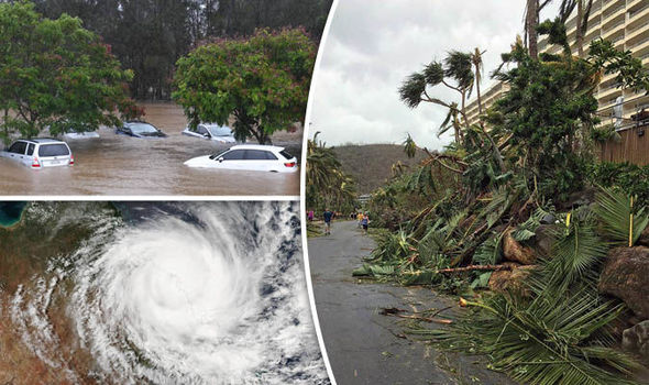 Insurance Tree removal - Cyclone Debbie