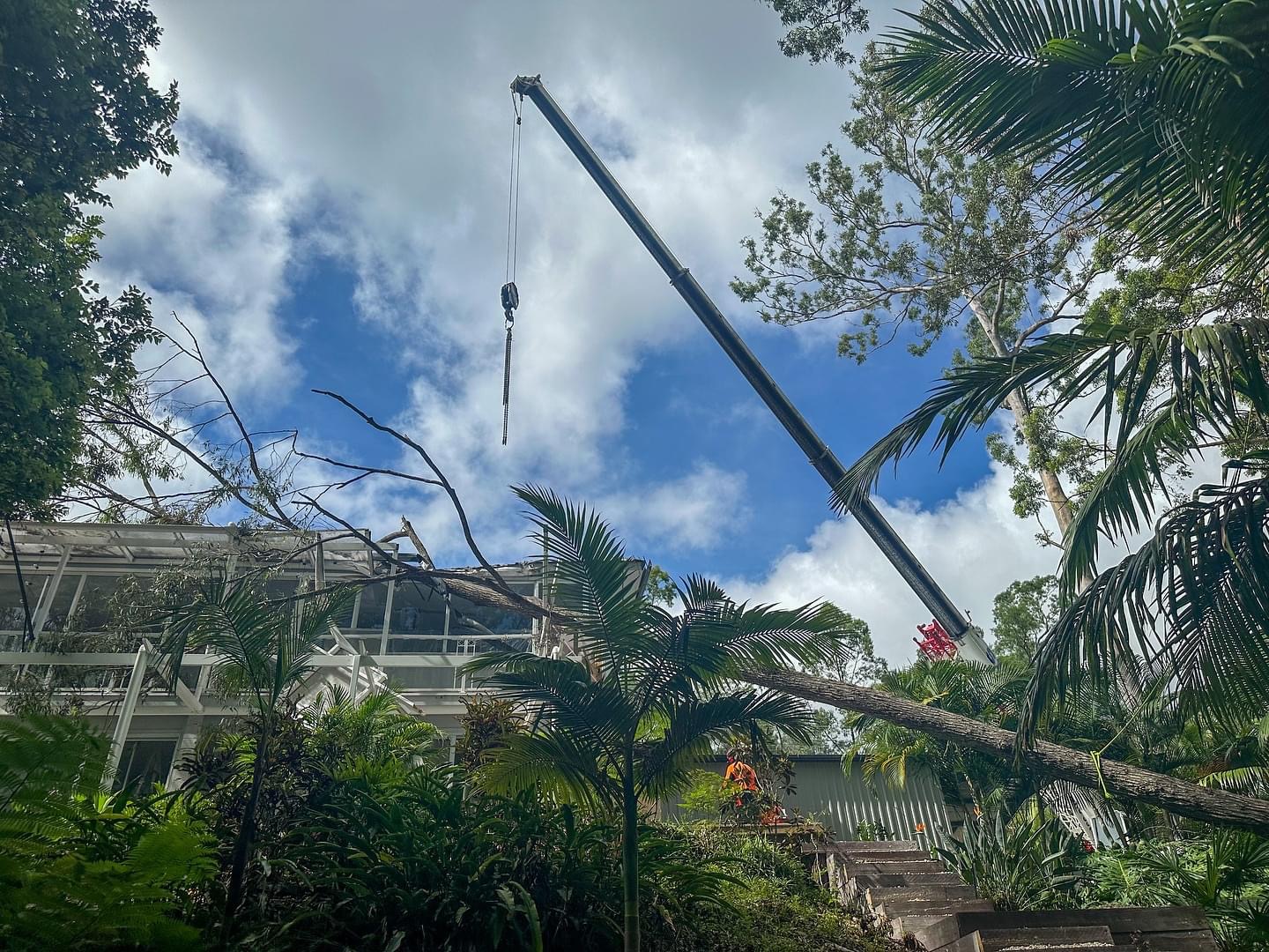 Crane lifting large ironbark off roof of house on Gold Coast for insurance make safe