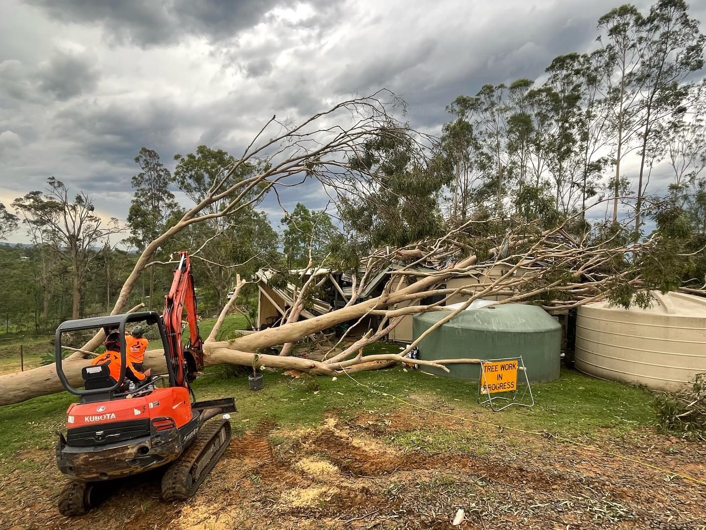 Excavator removing tree off house for insurance make safe during an emergency tree service callout on the Gold Coast