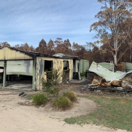 Emergency tree works following bushfire. Arborist climbing tree behind shed. Emergency tree service call out.