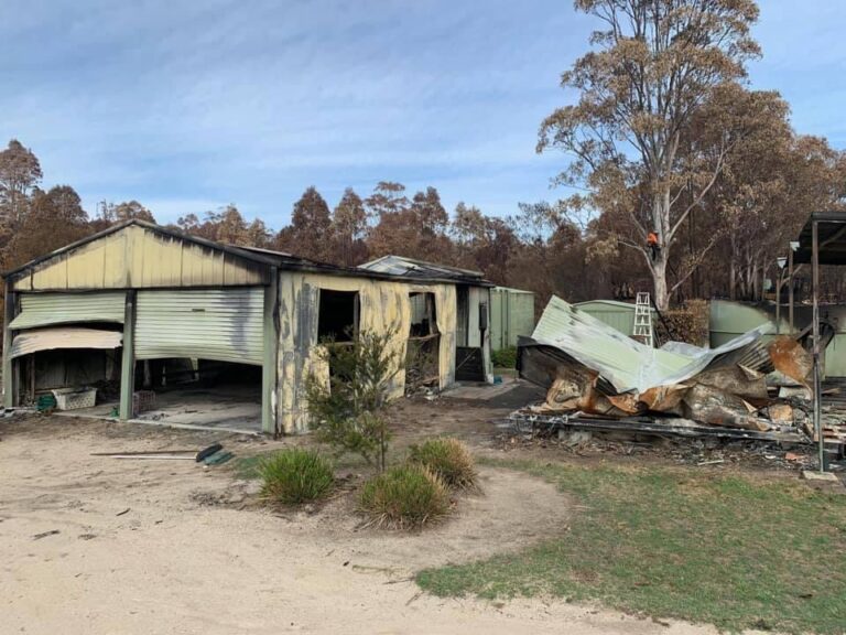 Emergency tree works following bushfire. Arborist climbing tree behind shed. Emergency tree service call out.