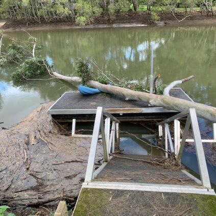 Emergency Insurance Make Safe on Gold Coast canal to retrieve tree which had impacted pontoon. Canal Tree Removal by Arborist