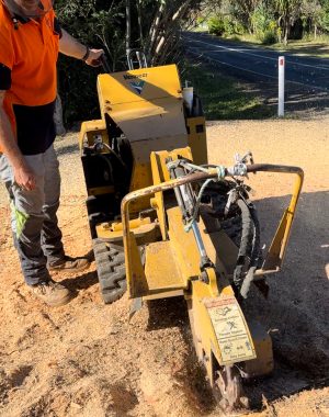 Tree lopper performing stump grinding service on the Sunshine Coast. Best stump removal service.